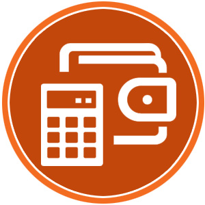 Budget Icon